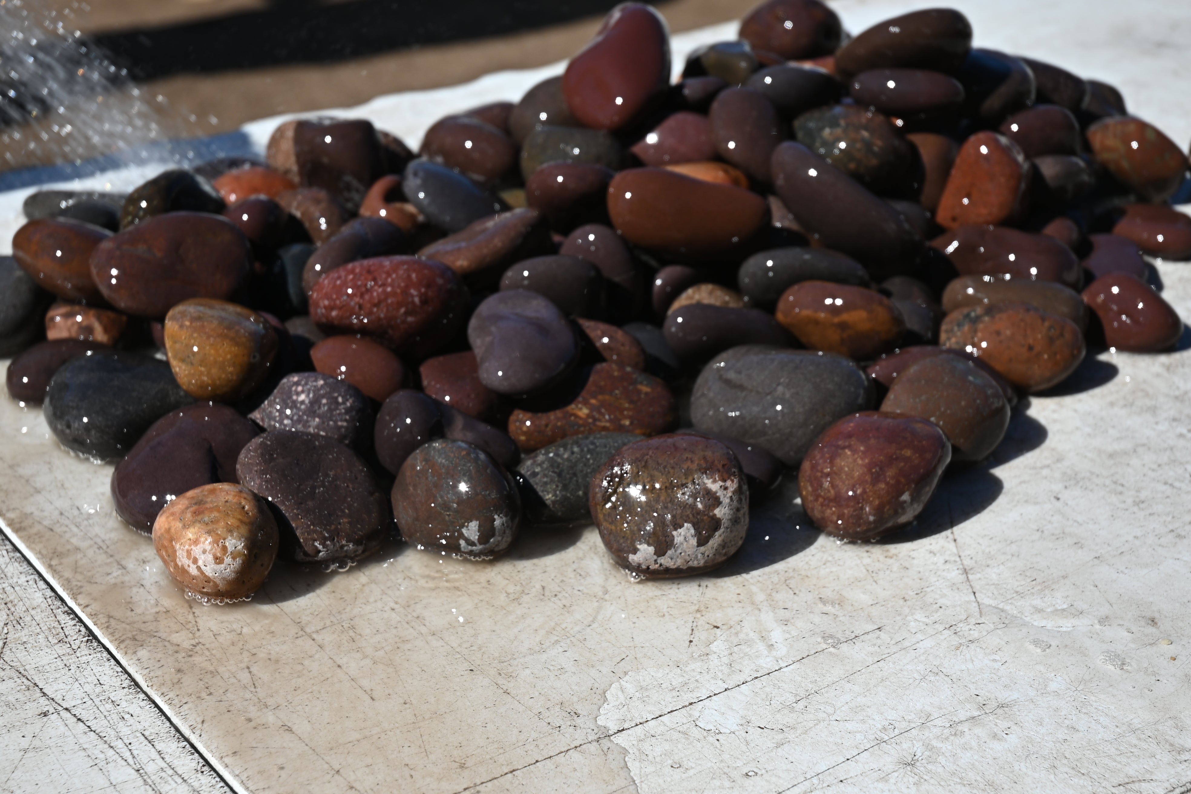 files/MYA_3611_a1bd0b01-3848-4e2f-9581-24c672a878ce.jpg files/MYA_3611_a1bd0b01-3848-4e2f-9581-24c672a878ce.jpg